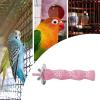 Bird Cage Perch and Chew Stand view 4