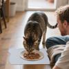 Dog Food Mat with Raised Edges and Washable Silicone Bowl Mat, Bear Shape, 12.99 x 7.87 Inches view 4