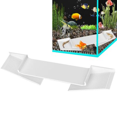 Fish Tank Cave Shelter
