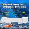 Fish Tank Cave Shelter view 3