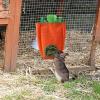 Generic Rabbit Hay Bag - Hanging Storage Bag view 4