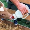 1L 2L Calf Feeding Bottle view 3