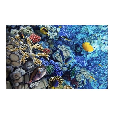 WYNYMKO Aquarium Background Sticker, Submarine Coral 3D Poster, 41 x 61 cm