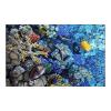 WYNYMKO Aquarium Background Sticker, Submarine Coral 3D Poster, 41 x 61 cm view 1