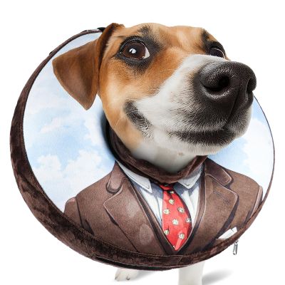 SuplutuX Inflatable Collar for Dogs & Cats, Soft No-Lick Collar with Adjustable Drawstring, Clear Vision, L