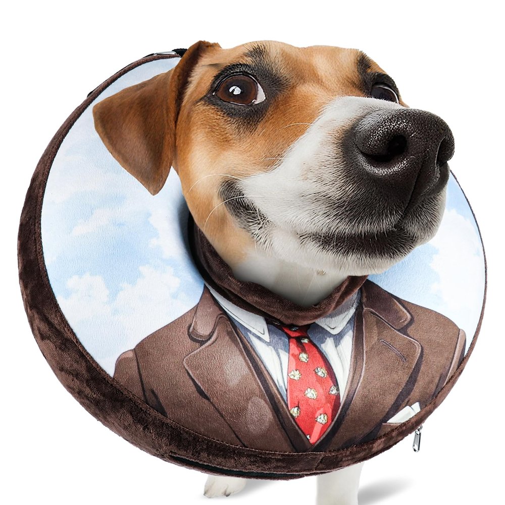 SuplutuX Inflatable Collar for Dogs & Cats, Soft No-Lick Collar with Adjustable Drawstring, Clear Vision, L
