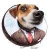 SuplutuX Inflatable Collar for Dogs & Cats, Soft No-Lick Collar with Adjustable Drawstring, Clear Vision, L view 1