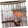 VILLFUL Automatic Parrot Water Dispenser for Bird Cages view 4
