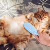 Vitsrisea Pet Hair Remover Roller view 3