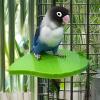Laxreheye Bird Perch for Cages view 3