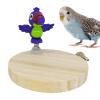 Parrot Perches, Sturdy Natural Chew Toy and Learning Accessory for Indoor Birds view 1