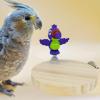 Parrot Perches, Sturdy Natural Chew Toy and Learning Accessory for Indoor Birds view 3