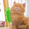 Cat Grooming Brush for Indoor Cats view 3