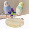 Parrot Perch, Sturdy Natural Wood Toy view 3