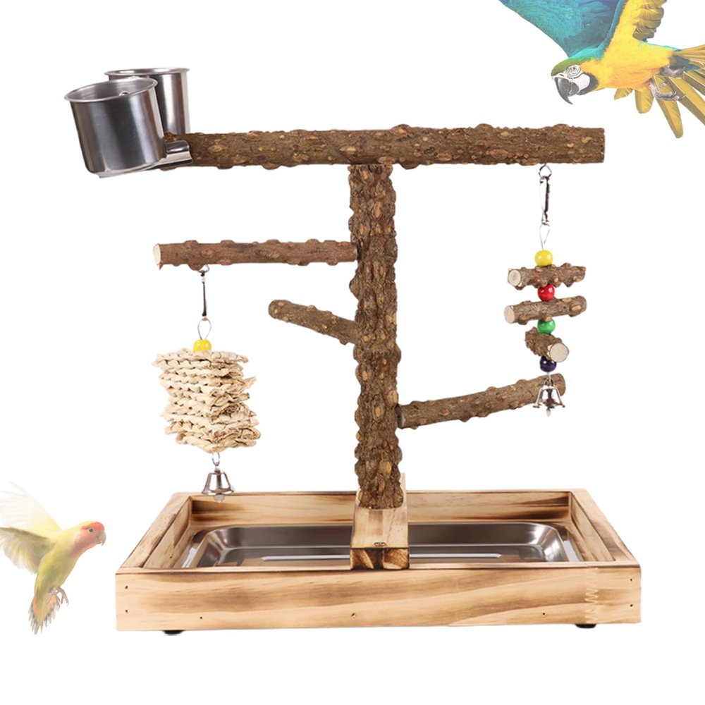Bird Stand Playground for Cockatiels with Feeding Stations