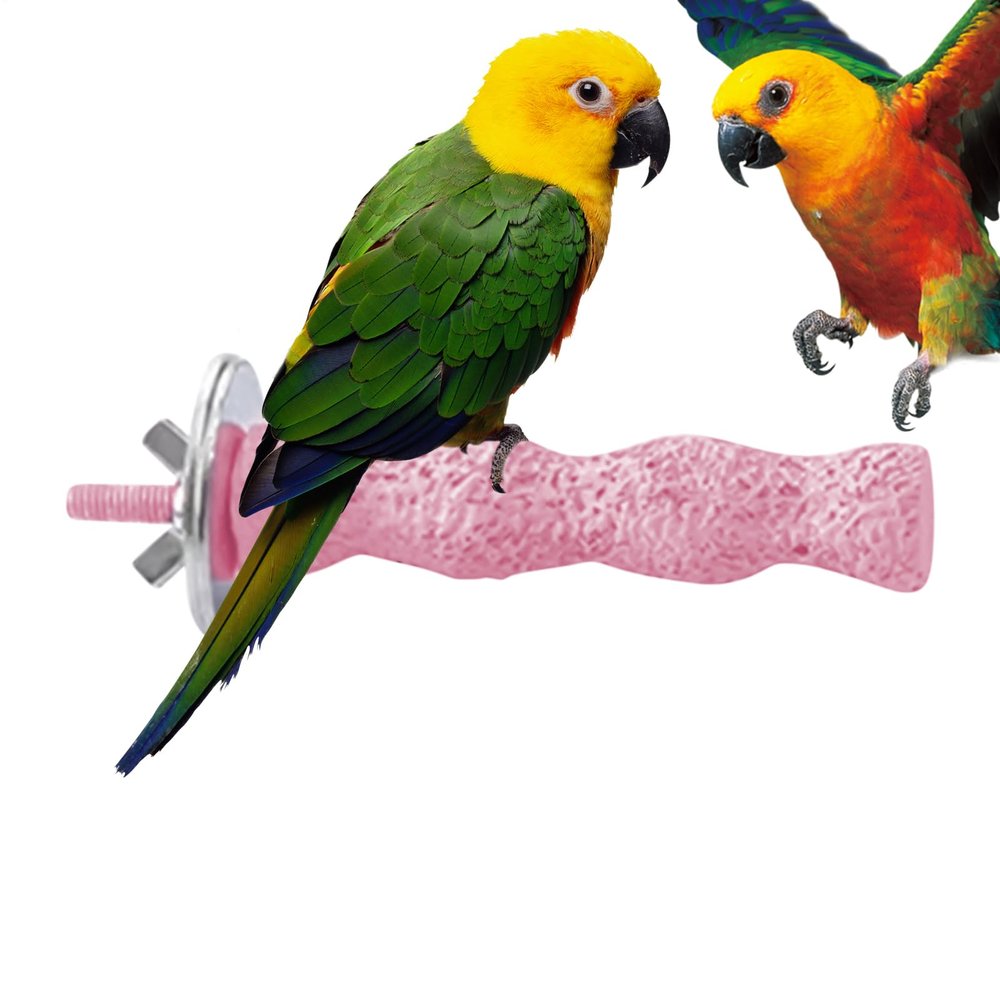 Bird Perch for Cages - Chew Toy and Nail Care