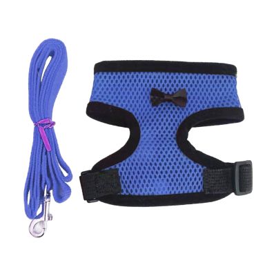 Adjustable Chicken Harness with Rope - Pet Supplies