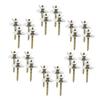 HAPINARY Set of Mounting Nuts and Screws for Wooden Bird Perches view 1