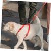 Shock-Absorbing Dog Leash Spring, Durable, 22 kg Tensile Strength, Stainless Steel view 2