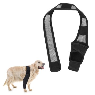 PARFCO Dog Leg Protection XL