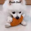 DIIOOMIEEU Dog Chew Toy for Aggressive Chewers view 4