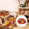 Natural Dried Flowers - Hamster Bedding Decor view 3
