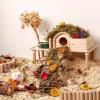 Natural Dried Flowers - Hamster Bedding Decor view 4
