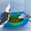 Bird Feeding Station for Cages view 3