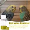 Automatic Bird Water Feeder - Parrot Water Bottle view 3