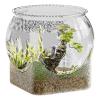 Round Transparent Fish Bowl Aquarium view 1