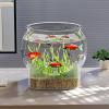 Round Transparent Fish Bowl Aquarium view 4