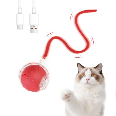 Interactive Cat Ball Toy