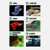 Breeding Box Isolation Box for Fry Fish and Aquariums view 4