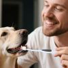 Dog Toothbrush - Soft Cat Toothbrush, Dental Tool view 4