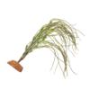 Realistic Artificial Decorative Plant for Reptiles, Plastic view 1