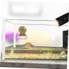 Toyvian Water Bowl for Reptiles and Turtles view 4