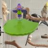 Parrot Stand Toy view 3