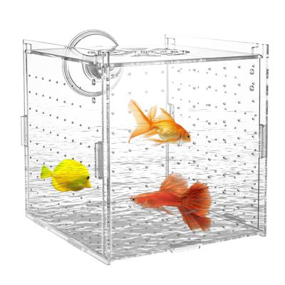 Acrylic Fish Breeding Box for Aquariums with Suction Cups