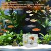 Acrylic Fish Breeding Box for Aquariums with Suction Cups view 2