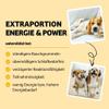 BugBell 60g Soft Dog Treats EnergyWonder view 3