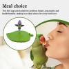 Bird Play Stand with Perches, Interactive Standing Toy view 2