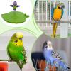 Bird Play Stand with Perches, Interactive Standing Toy view 4