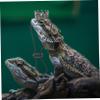 Gatuida Reptile Crown Hat and Necklace for Small Pets view 2