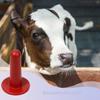 Ceprznvey Goat Feeding Bottle with Thick Milk Nipple and Wide Mouthpiece for Goats, Calves, Sheep, and Cows view 3