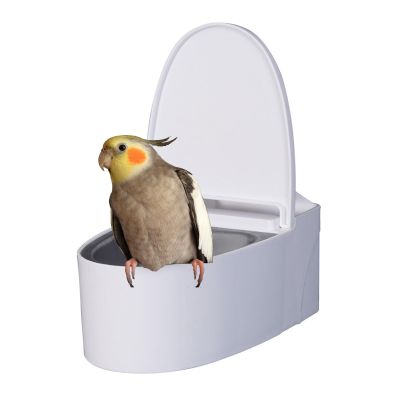 Wall-Mounted Bird Toilet Trainer