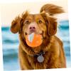 HAPINARY Orange-Shaped Squeaky Dog Chew Toy for Small Puppies view 4