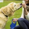 Retractable Dog Leash for Relaxed Walks view 3