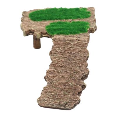 Turtle Ramp & Climbing Ladder