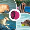 Dog Ear Protection Scarf view 4