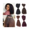 YANG11FAN Braiding Hair Extensions, Afro Kinky Curls, 18 Inches, 50 g, 99J view 1